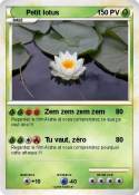 Petit lotus