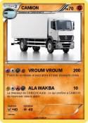 CAMION
