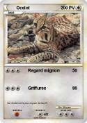 Ocelot Ocelot