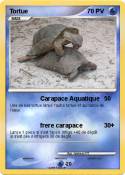 Tortue Tortue