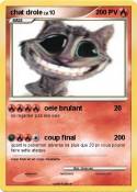 chat drole
