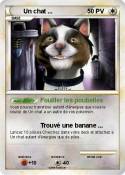 Un chat ...