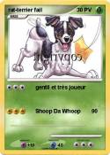 rat-terrier