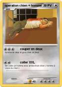 operation chien