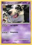 dogue allemand en t-shirt dogue allemand