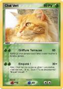 Chat Vert