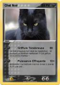 Chat Noir