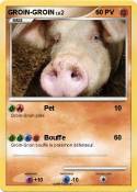 GROIN-GROIN