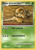 berger allemand