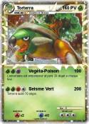 Torterra