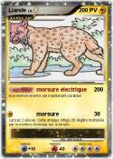 Liande Liande