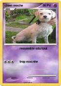 chien moche