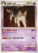 Super cat