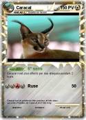 Caracal
