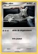 chien zèbre chien zèbre