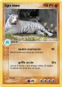 tigre blanc 