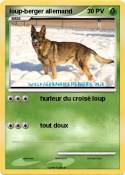 loup-berger