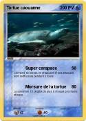 Tortue caouanne Tortue caouanne