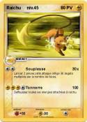 Raichu niv.45