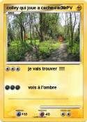 colley qui joue