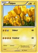 Tulipes