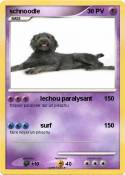 schnoodle