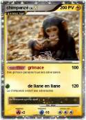 chimpanzé