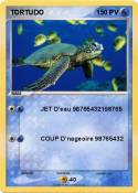 TORTUDO
