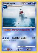 Flash Requin