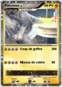 Princesse
