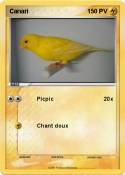 Canari