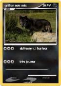 griffon noir mix griffon noir