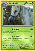 brindille EX brindille EX