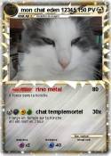 mon chat eden