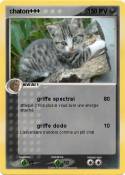chaton+++