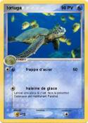 tortuga