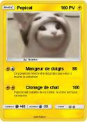 Popicat