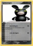 spinterlapin