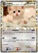 chaton chaton