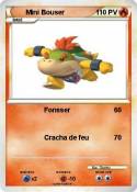 Mini Bouser
