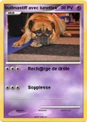 bullmastiff