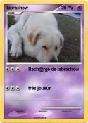 labrachow