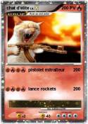 chat d'élite
