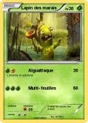 Lapin des