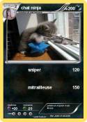 chat ninja