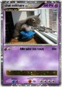 chat millitaire
