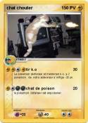 chat chouter