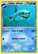 requin attaque