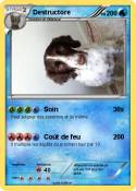 Destructore Destructore