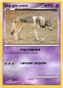 loup gris